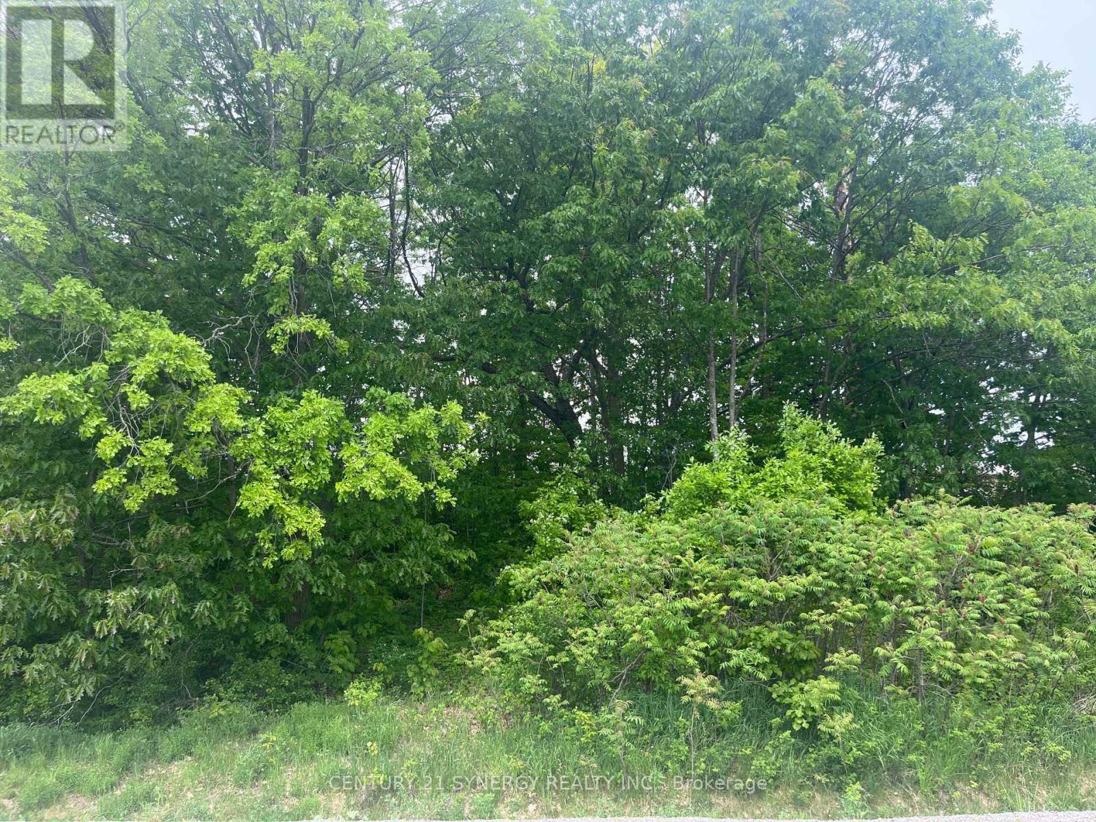 36 Paul A Bertrand Drive, Mcnab/braeside, Ontario  K7S 3G8 - Photo 15 - X12764896