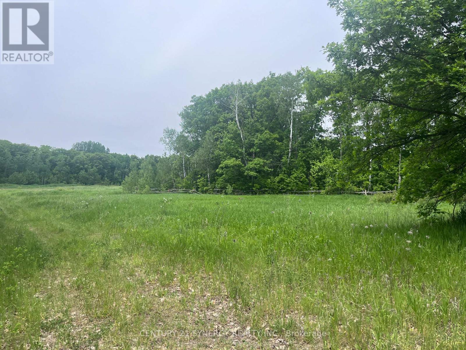 36 Paul A Bertrand Drive, Mcnab/braeside, Ontario  K7S 3G8 - Photo 4 - X12764896
