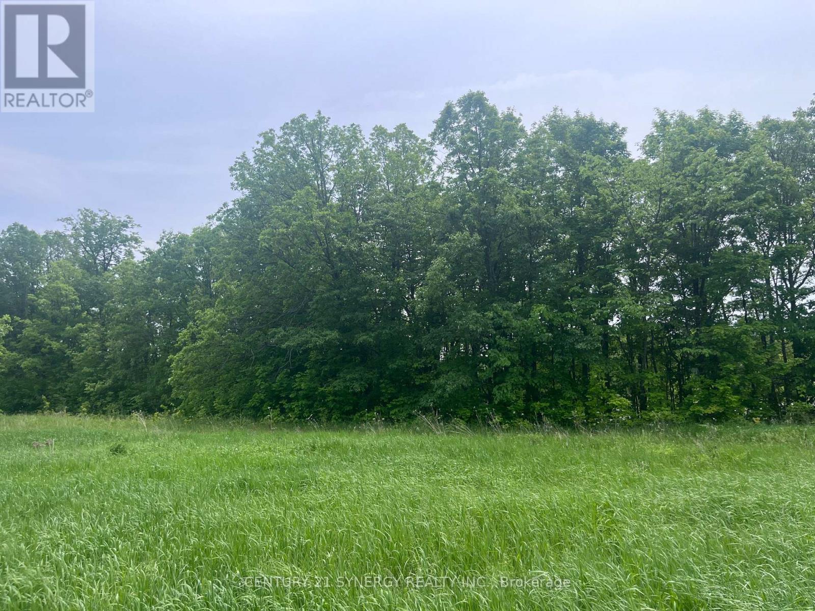36 Paul A Bertrand Drive, Mcnab/braeside, Ontario  K7S 3G8 - Photo 8 - X12764896