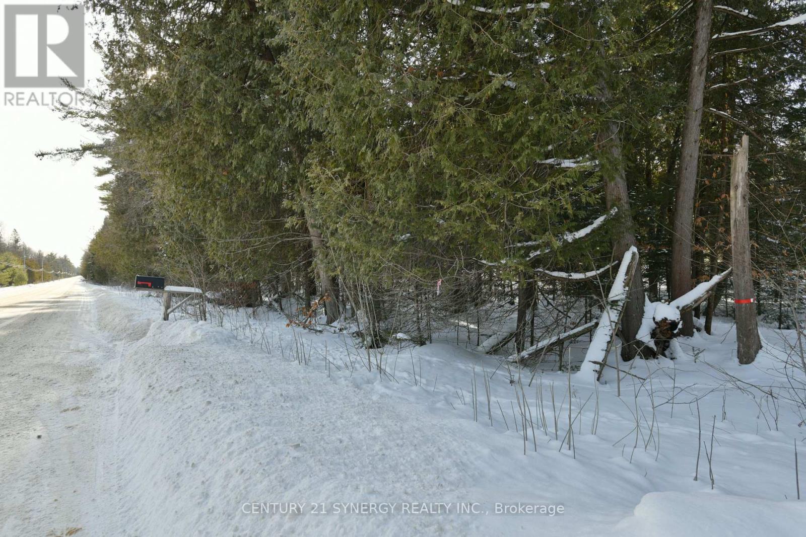 00 Bellamy Road, Mcnab/braeside, Ontario  K0A 3L0 - Photo 11 - X12764978