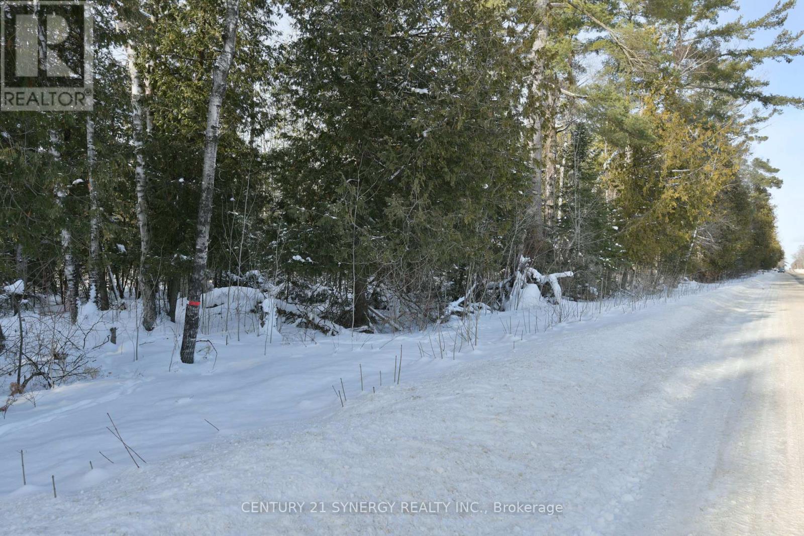 00 Bellamy Road, Mcnab/braeside, Ontario  K0A 3L0 - Photo 12 - X12764978