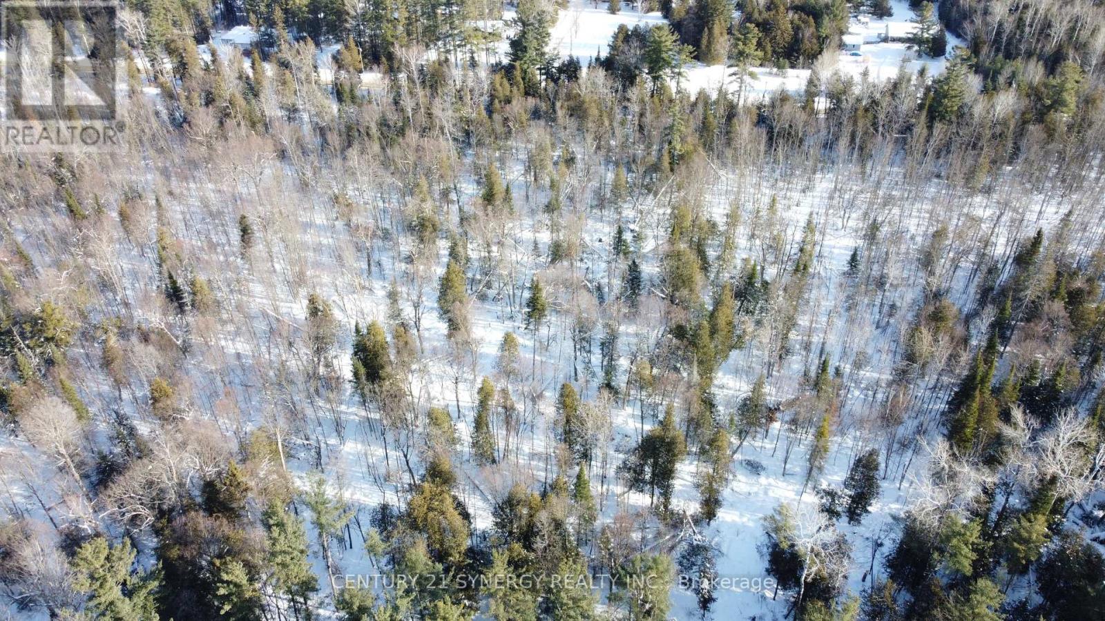 00 Bellamy Road, Mcnab/braeside, Ontario  K0A 3L0 - Photo 8 - X12764978
