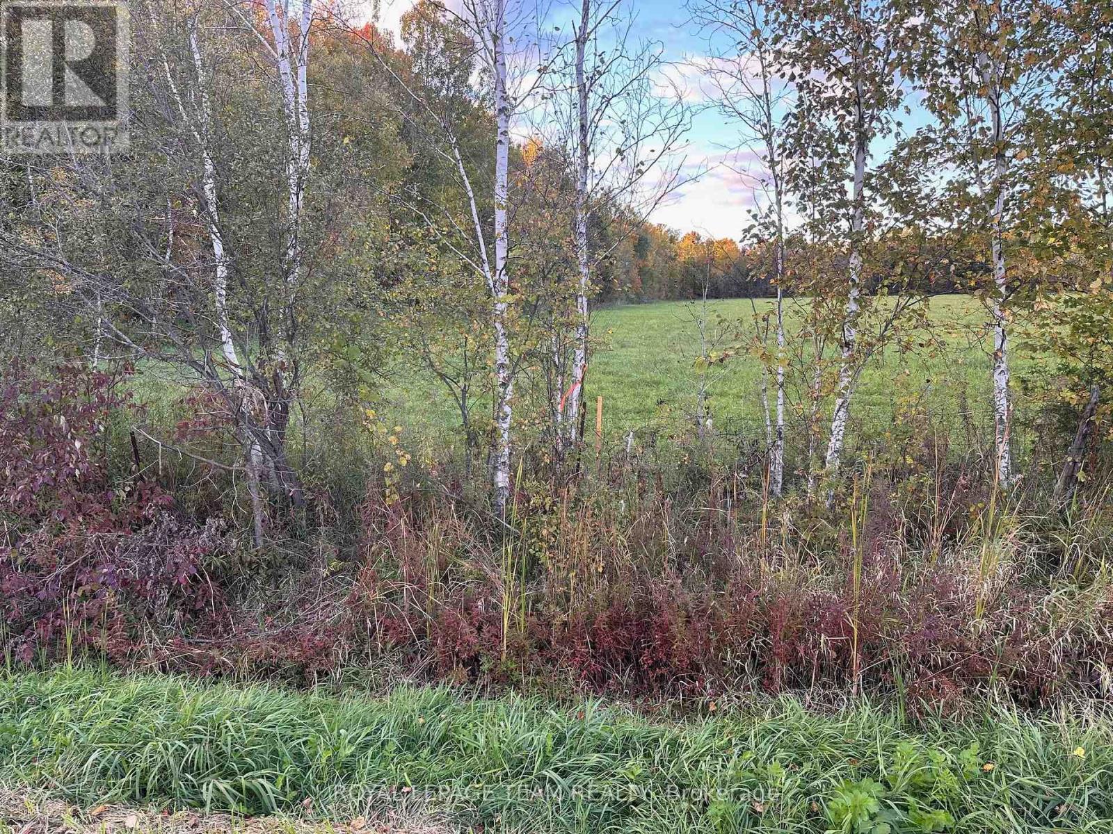 00 County Road 20 Road, North Grenville, Ontario  K0G 1T0 - Photo 5 - X12802958
