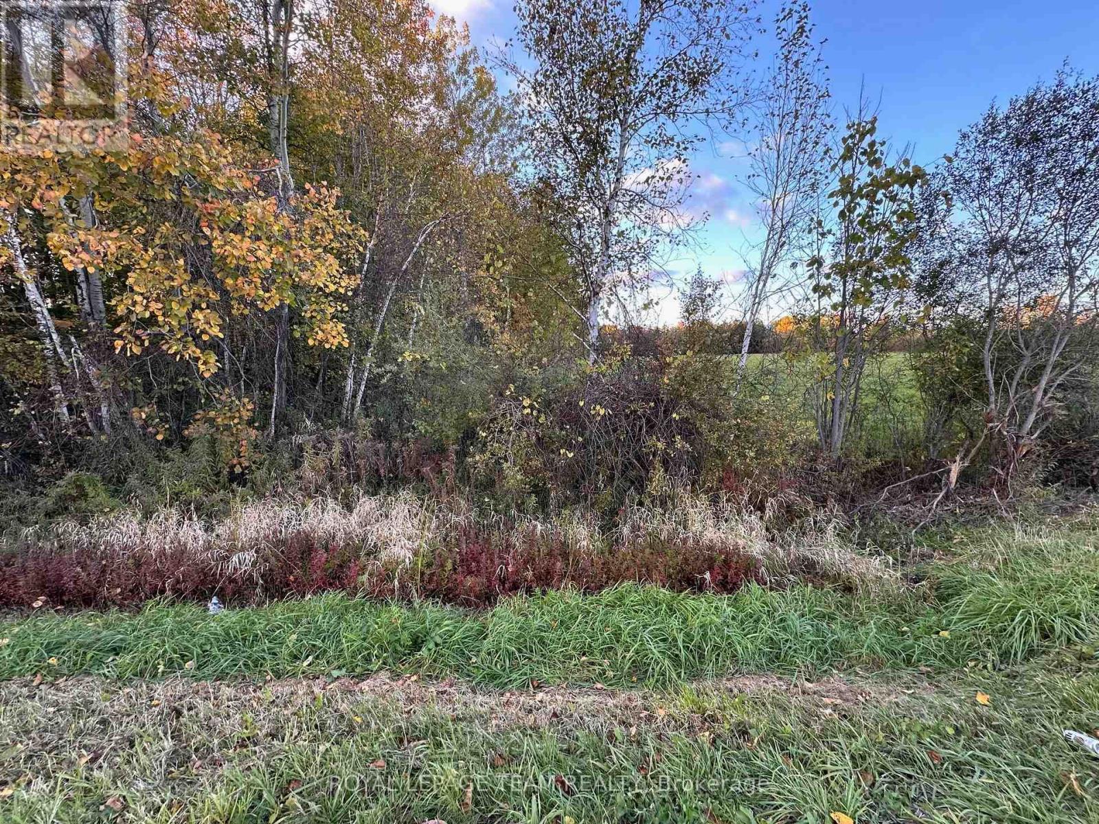 00 County Road 20 Road, North Grenville, Ontario  K0G 1T0 - Photo 7 - X12802958