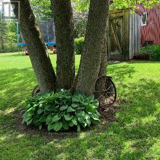 3322 Cedar Grove Road, Edwardsburgh/cardinal, Ontario  K0E 1T1 - Photo 12 - X12810594