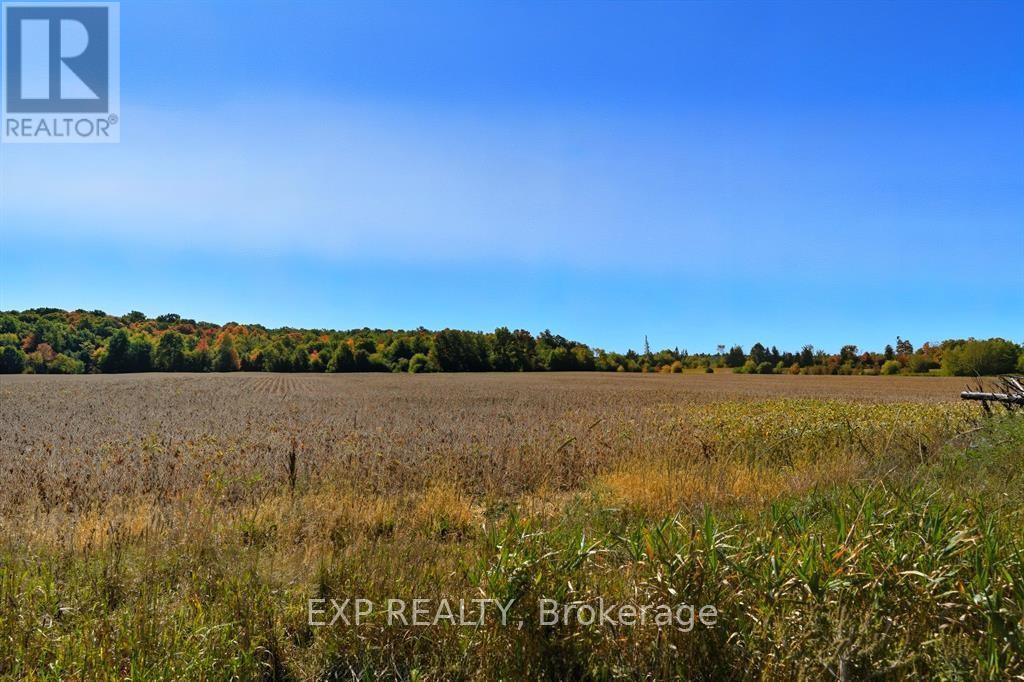 2830 Concession 4 Road, Alfred And Plantagenet, Ontario  K0B 1A0 - Photo 31 - X12833936