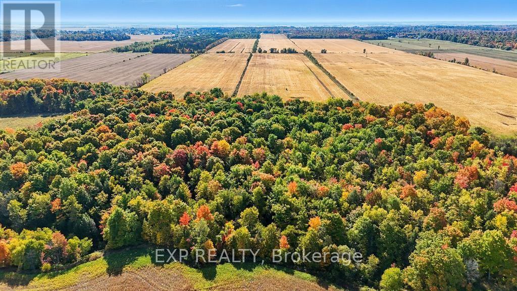 2830 Concession 4 Road, Alfred And Plantagenet, Ontario  K0B 1A0 - Photo 36 - X12833936