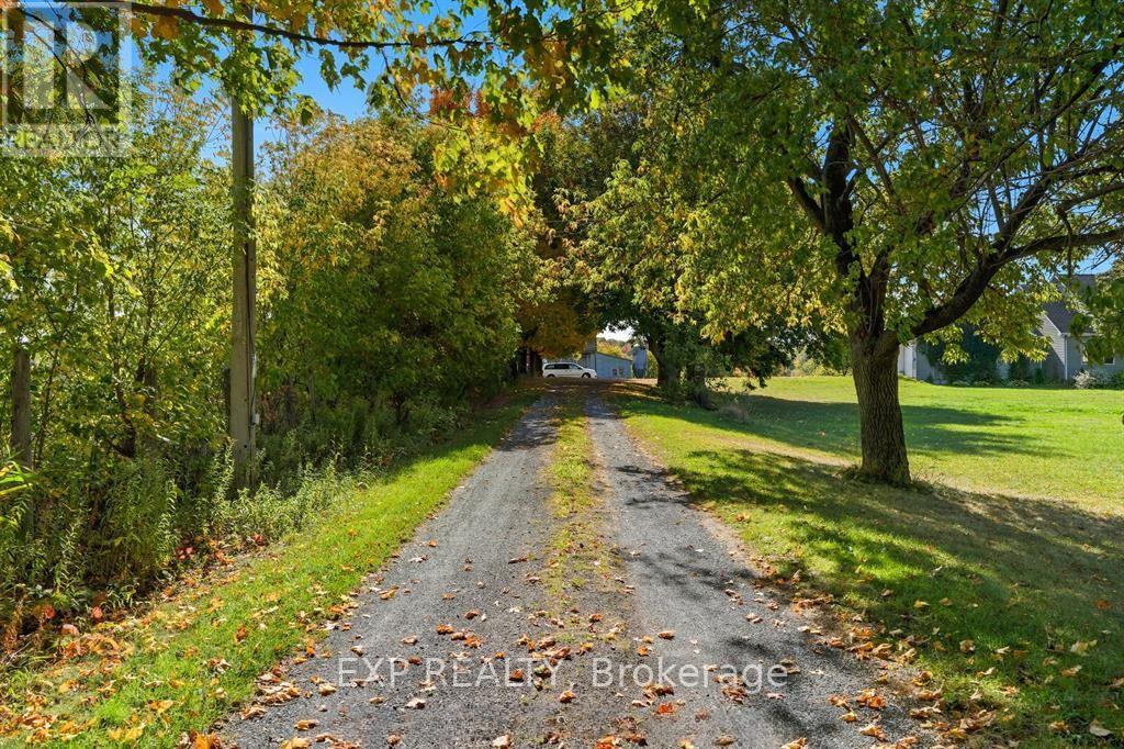 2830 Concession 4 Road, Alfred And Plantagenet, Ontario  K0B 1A0 - Photo 38 - X12833936