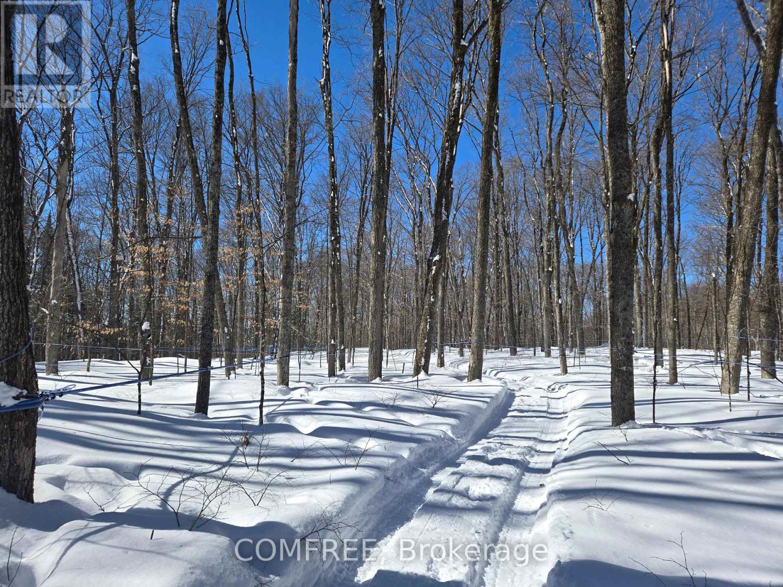89 Stewart Road, Bancroft, Ontario  K0L 2L0 - Photo 16 - X12850576