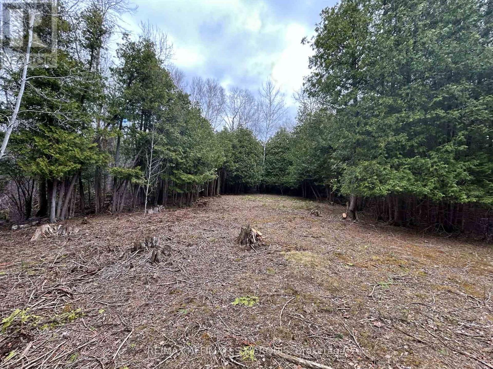 00 Snowdons Corners Road, Merrickville-Wolford, Ontario  K0G 1N0 - Photo 2 - X12853638
