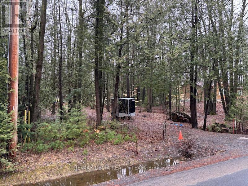 LOT 2 CONCESSION 5 ROAD, Alfred and Plantagenet, Ontario