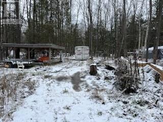 Lot 2 Concession 5 Road, Alfred And Plantagenet, Ontario  K0B 1L0 - Photo 10 - X12857672