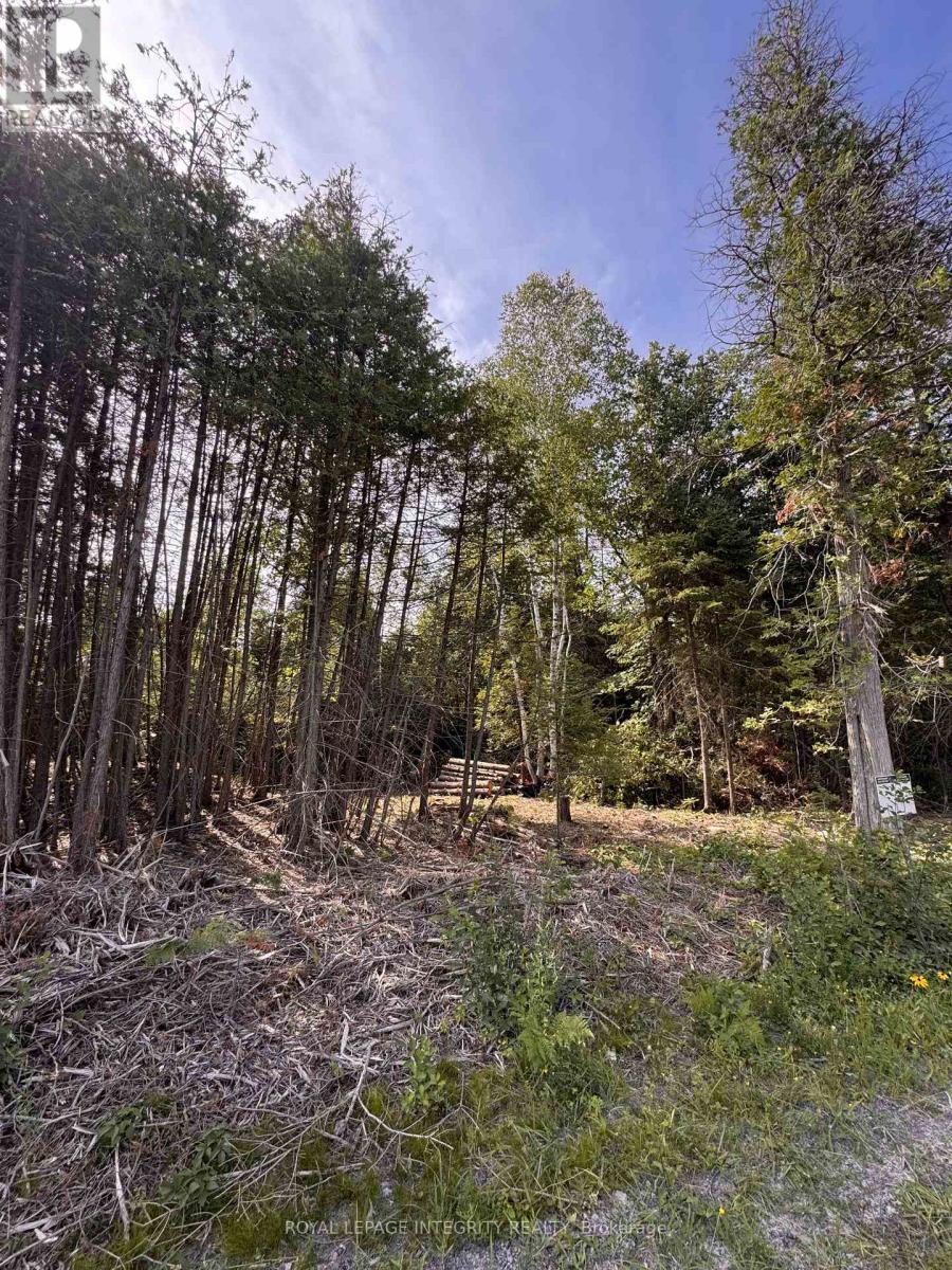 7110 Gallagher Road, Ottawa, Ontario  K0A 2T0 - Photo 12 - X12875784