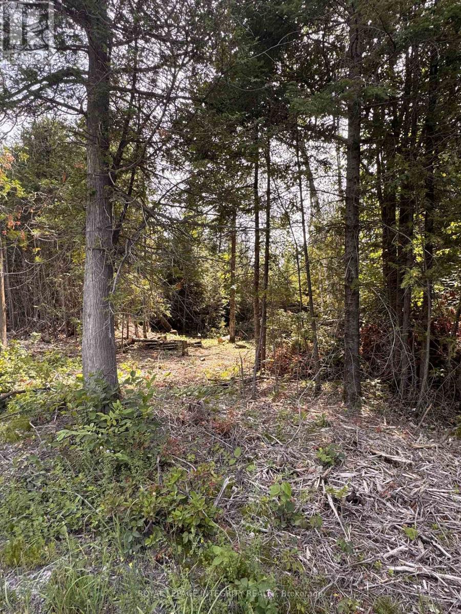 7110 Gallagher Road, Ottawa, Ontario  K0A 2T0 - Photo 2 - X12875784