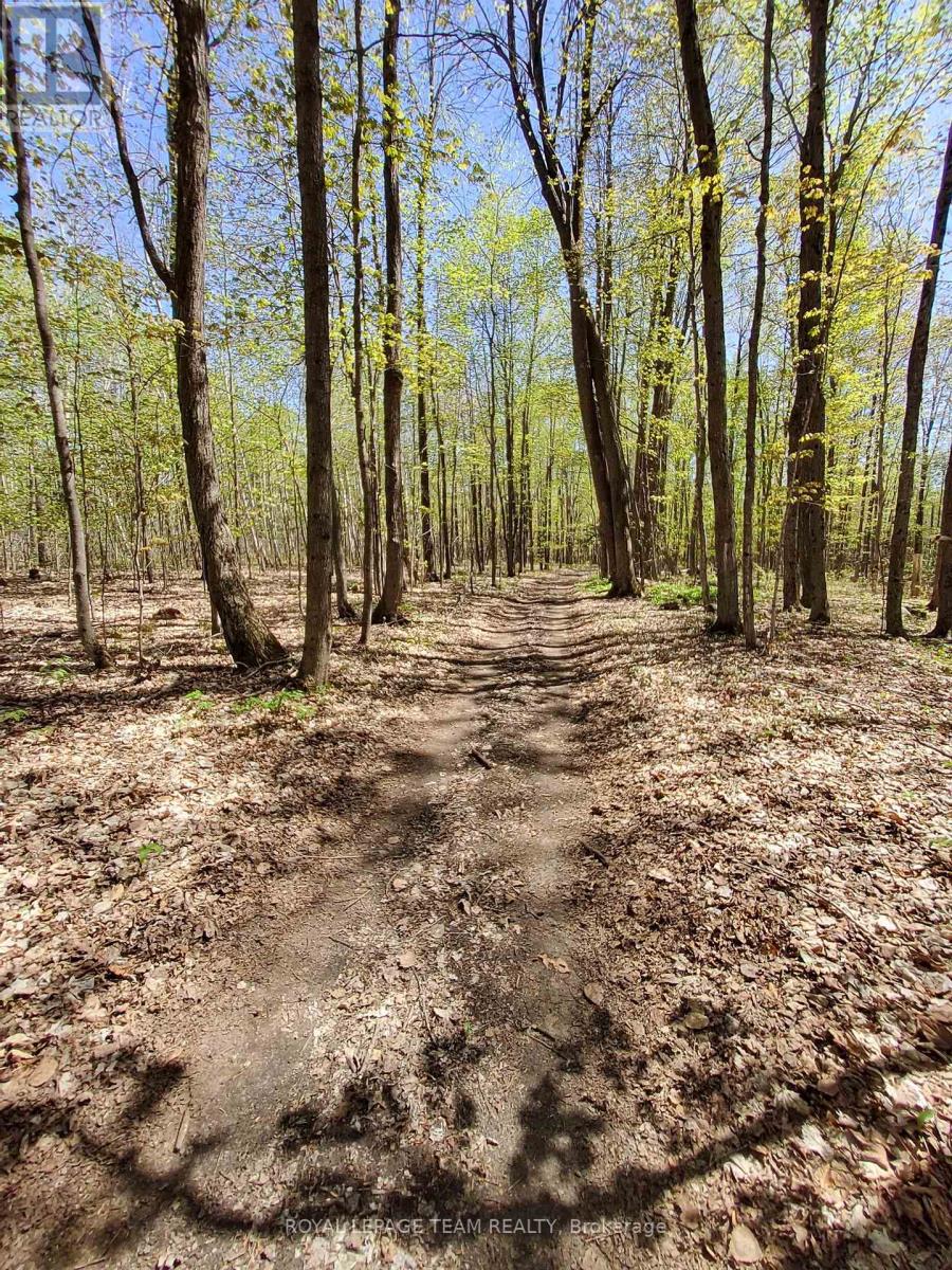 0 Totem Ranch Road, Edwardsburgh/cardinal, Ontario  K0G 1T0 - Photo 6 - X12878310