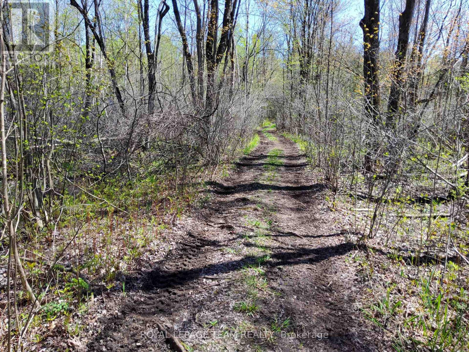 0 Totem Ranch Road, Edwardsburgh/cardinal, Ontario  K0G 1T0 - Photo 7 - X12878310