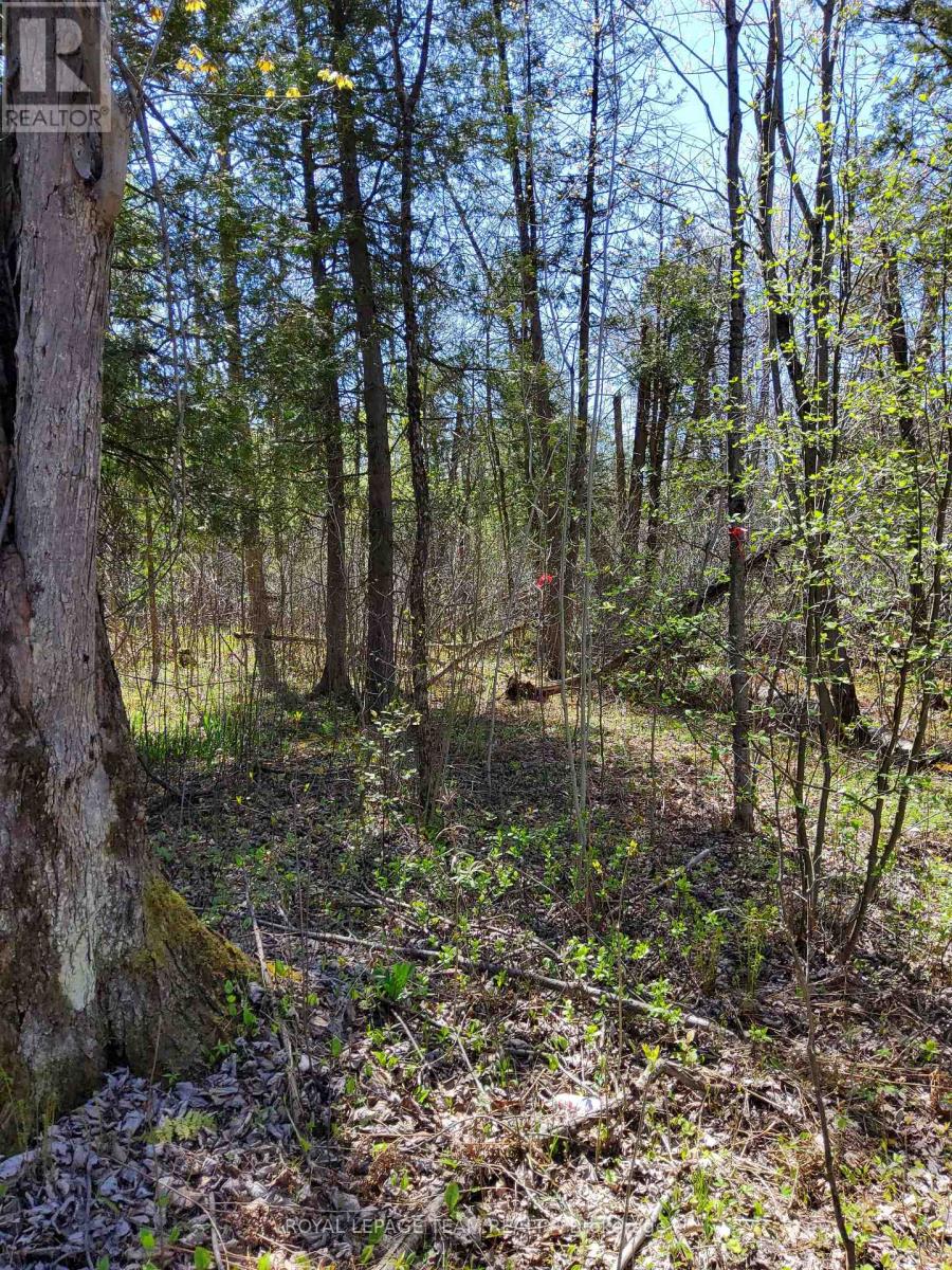 0 Totem Ranch Road, Edwardsburgh/cardinal, Ontario  K0G 1T0 - Photo 8 - X12878310