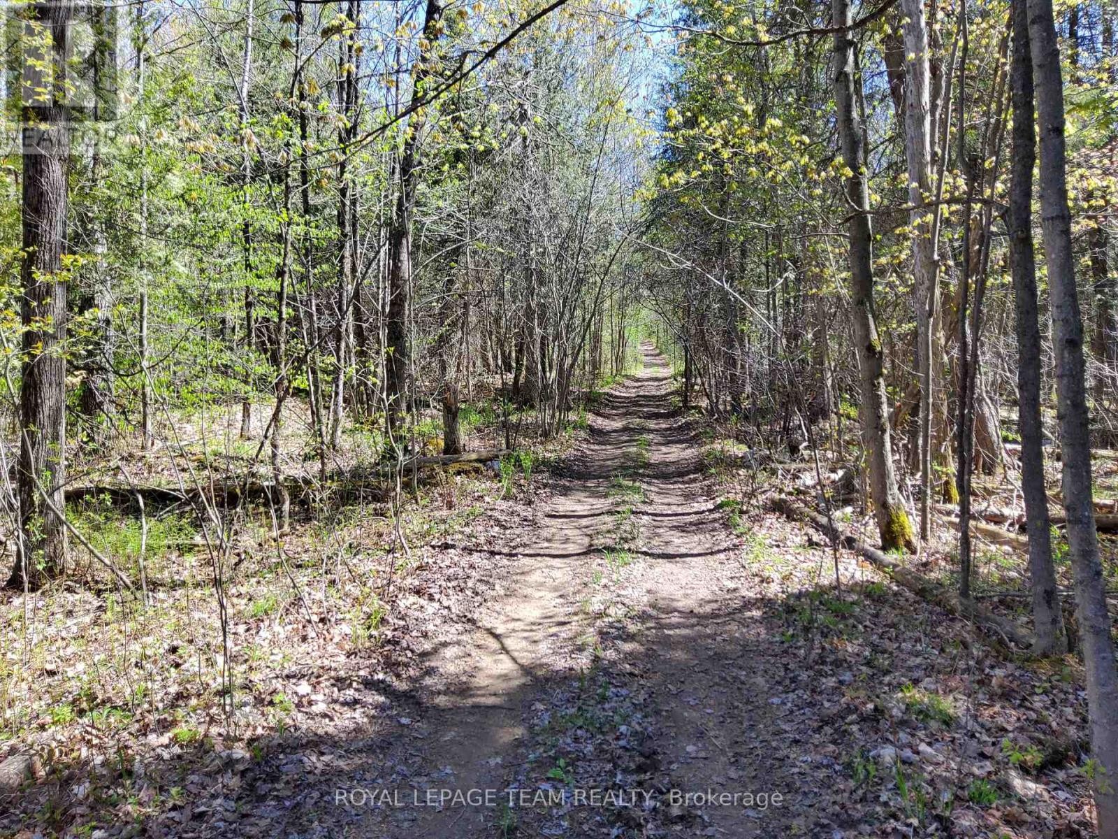 0 Totem Ranch Road, Edwardsburgh/cardinal, Ontario  K0G 1T0 - Photo 9 - X12878310