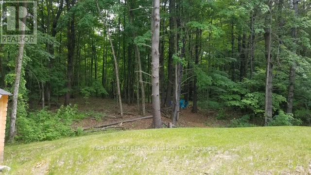 229 Norris Road, Tay Valley, Ontario  K7H 3C6 - Photo 2 - X12900414