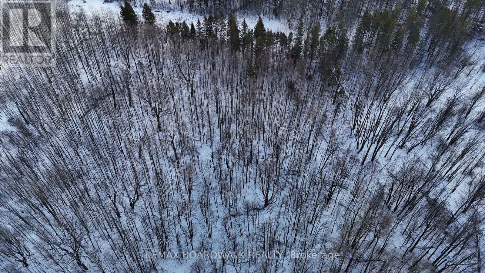 2955 Torwood Drive, Ottawa, Ontario  K0A 1T0 - Photo 26 - X12912672