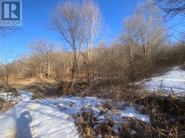 00 Lot 2 County10 Road, Rideau Lakes, Ontario  K0G 1X0 - Photo 3 - X12935996