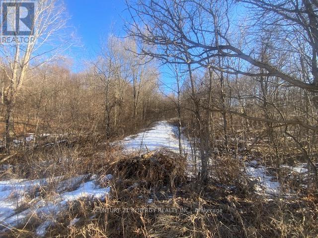 00 Lot 1 County  Rd 10 Road, Rideau Lakes, Ontario  K0G 1X0 - Photo 3 - X12936040