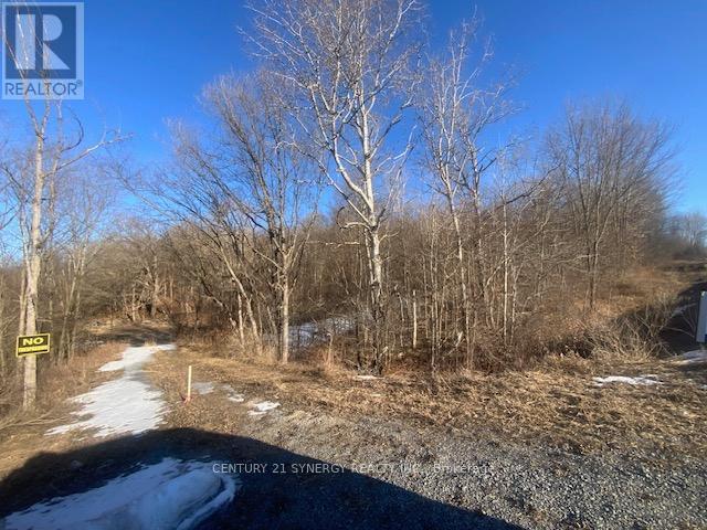 00 Lot 1 County  Rd 10 Road, Rideau Lakes, Ontario  K0G 1X0 - Photo 5 - X12936040
