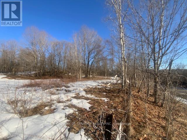 00 Lot 1 County  Rd 10 Road, Rideau Lakes, Ontario  K0G 1X0 - Photo 6 - X12936040