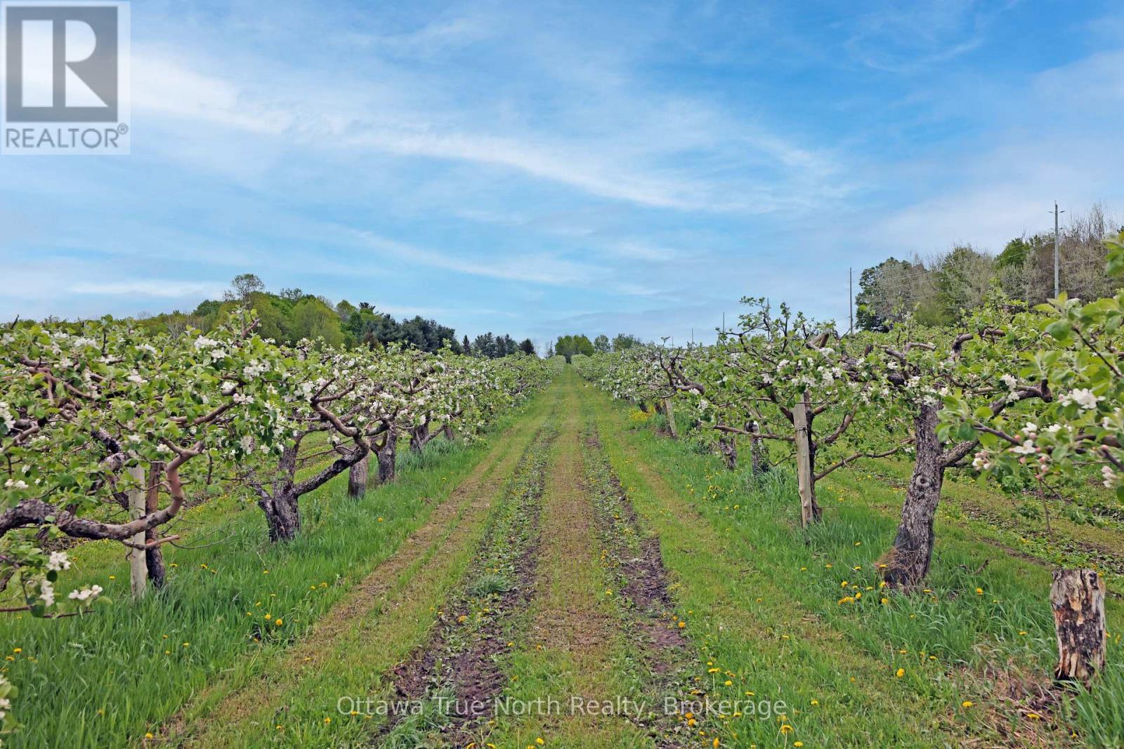 3376 Burnstown Road, Horton, Ontario  K7V 3Z9 - Photo 39 - X12938374