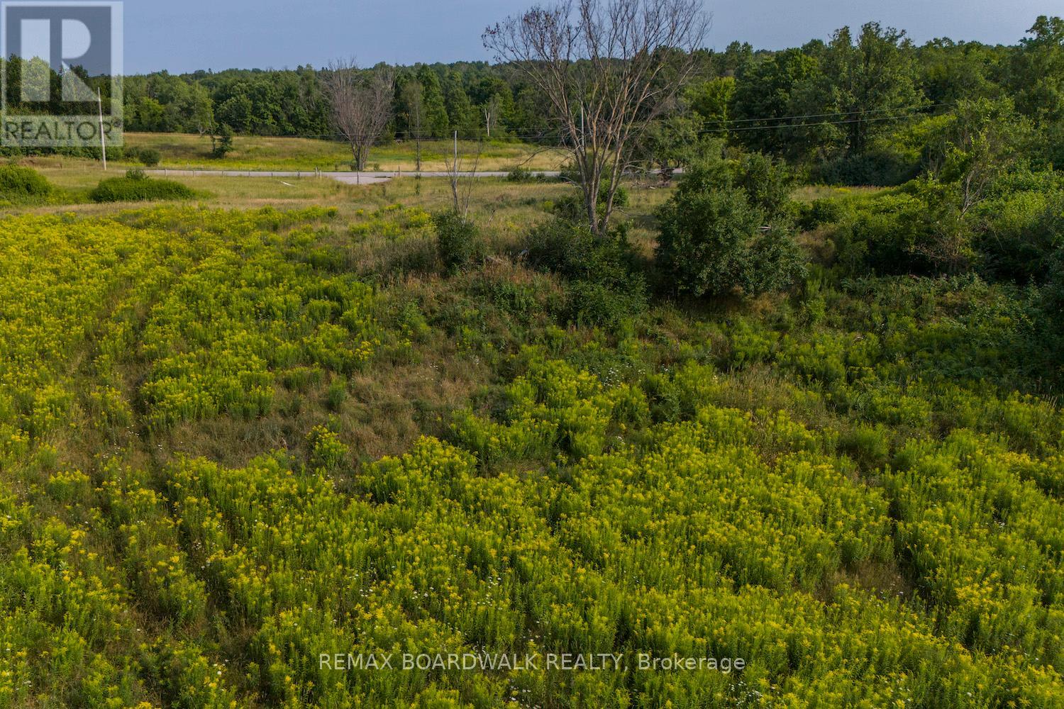 816 Bennett Lake Road, Tay Valley, Ontario  K0G 1A0 - Photo 2 - X12943072