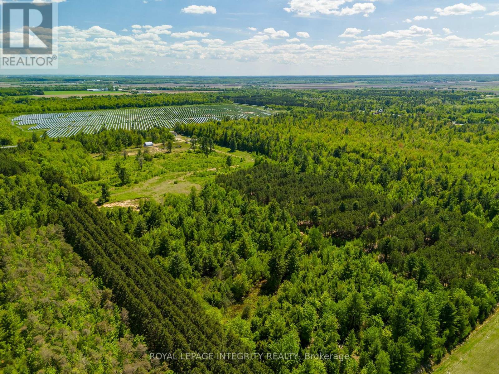 1981 County 2 Road, Alfred And Plantagenet, Ontario  K0B 1C0 - Photo 50 - X12944288