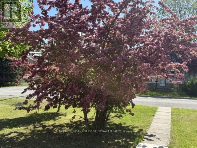 185 Compton Avenue, Ottawa, Ontario  K2B 5A6 - Photo 8 - X12954242