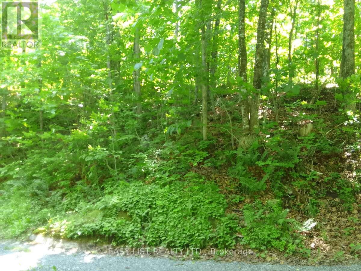 75 - 372 Murphy Road, Rideau Lakes, Ontario  K0G 1X0 - Photo 15 - X12987556