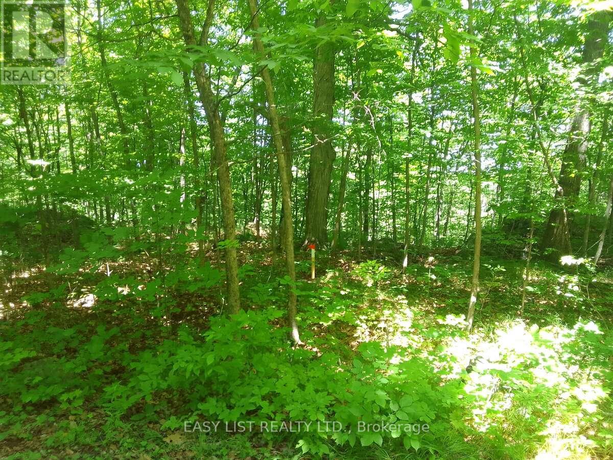 75 - 372 Murphy Road, Rideau Lakes, Ontario  K0G 1X0 - Photo 16 - X12987556