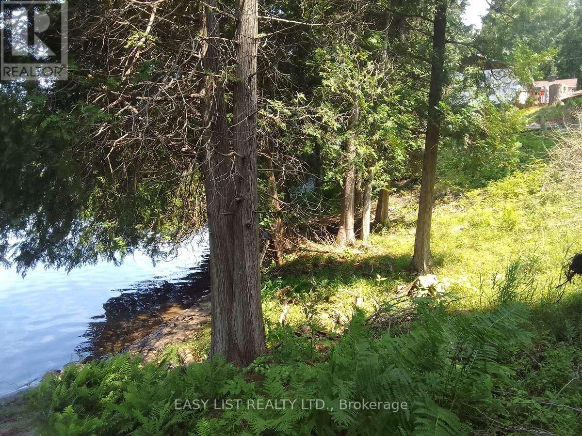 75 - 372 Murphy Road, Rideau Lakes, Ontario  K0G 1X0 - Photo 4 - X12987556