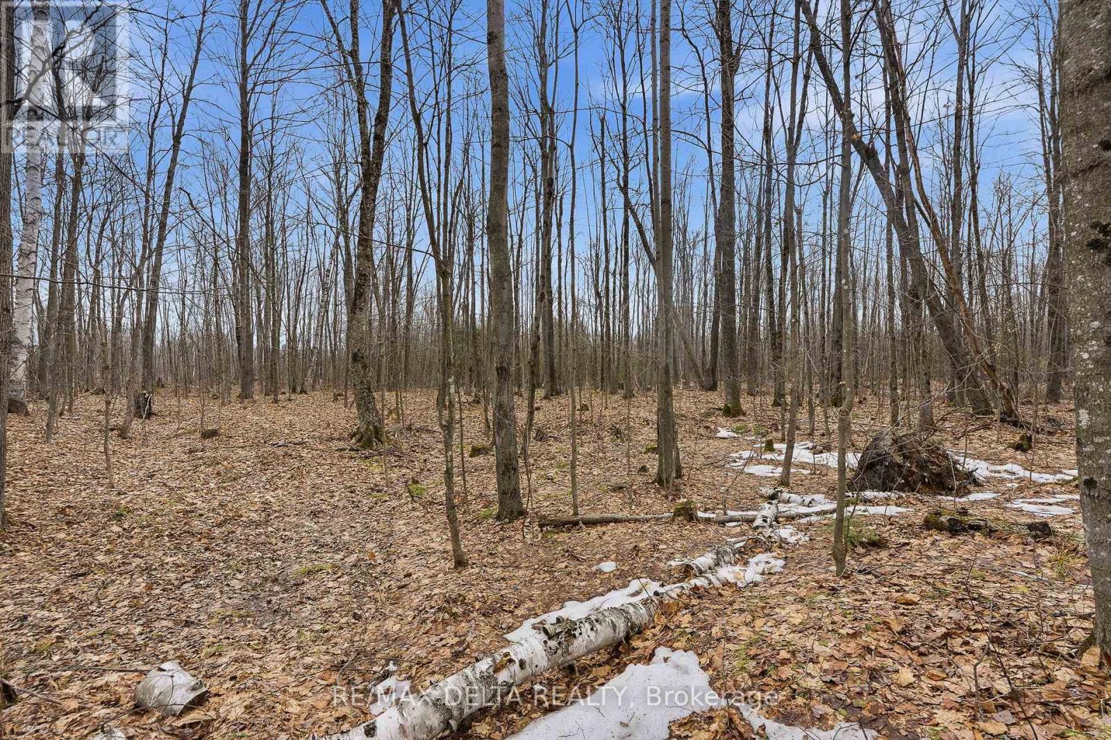 00 Part Of Lot 11 Gagne Road, Clarence-Rockland, Ontario  K0A 2A0 - Photo 13 - X12991456