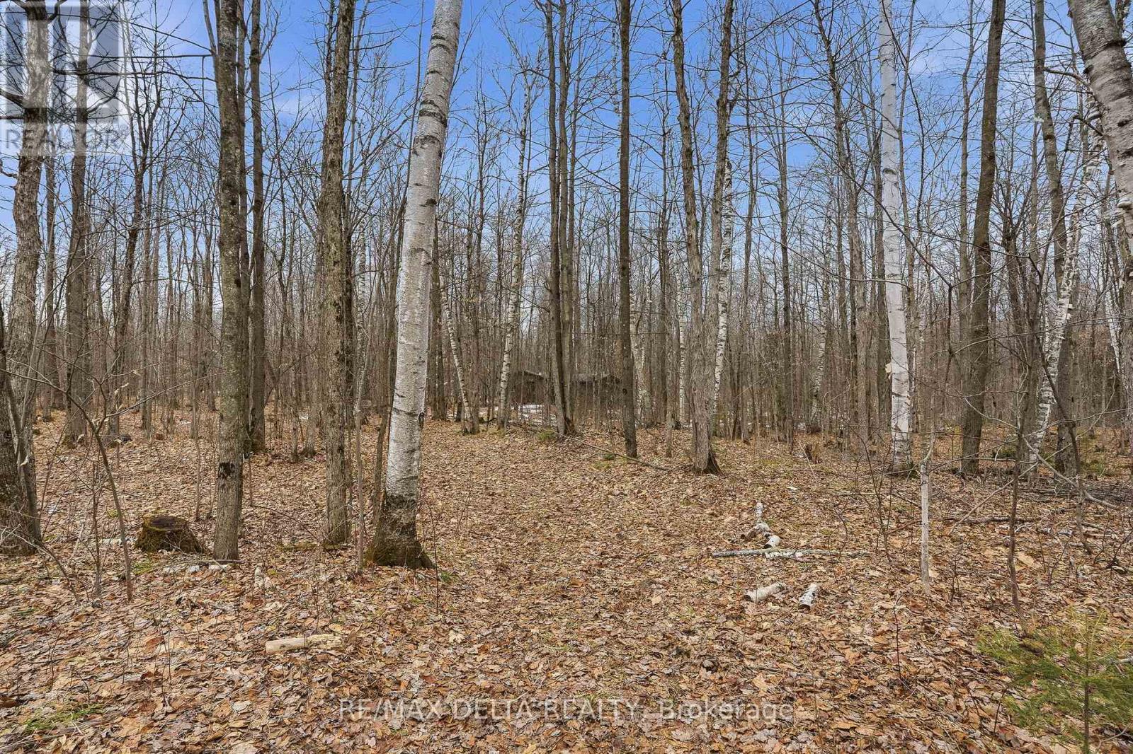 00 Part Of Lot 11 Gagne Road, Clarence-Rockland, Ontario  K0A 2A0 - Photo 14 - X12991456