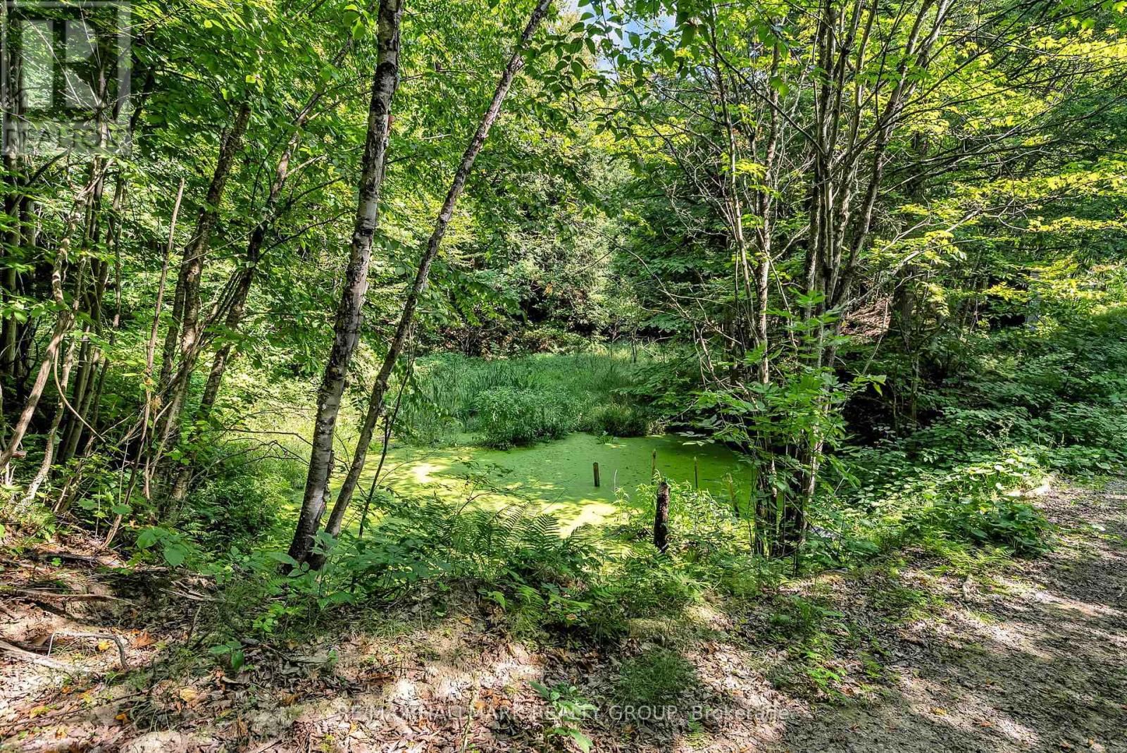656 Ch Station Road, Alfred And Plantagenet, Ontario  K0B 1A0 - Photo 37 - X12994602