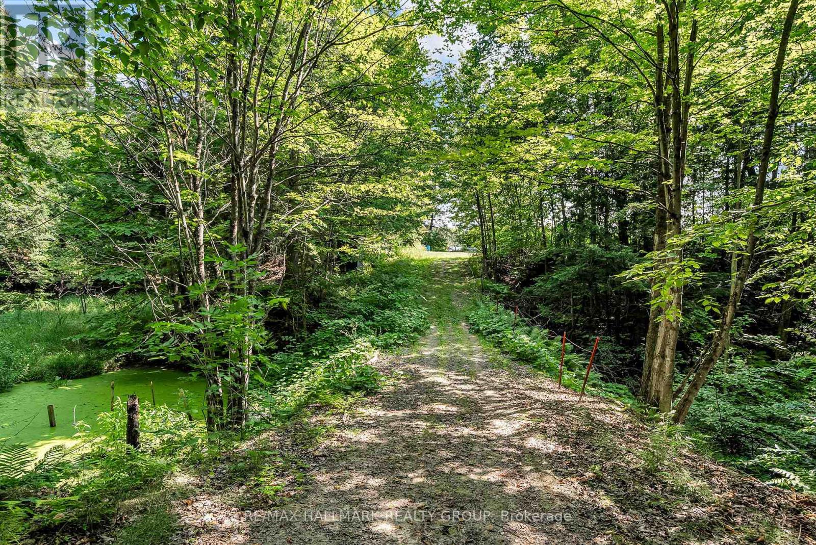 656 Ch Station Road, Alfred And Plantagenet, Ontario  K0B 1A0 - Photo 38 - X12994602
