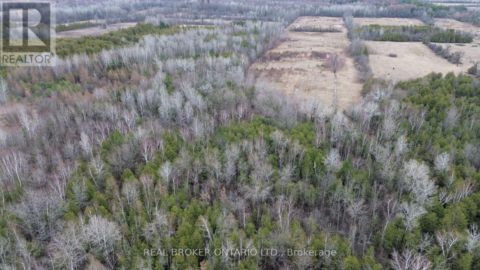 Lot 1 Kennedy Road, North Grenville, Ontario  K0G 1J0 - Photo 4 - X12995982