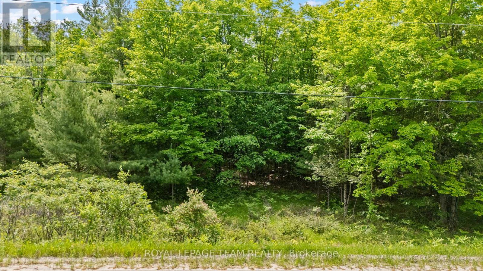 00 MAPLE STREET, Lanark Highlands, Ontario