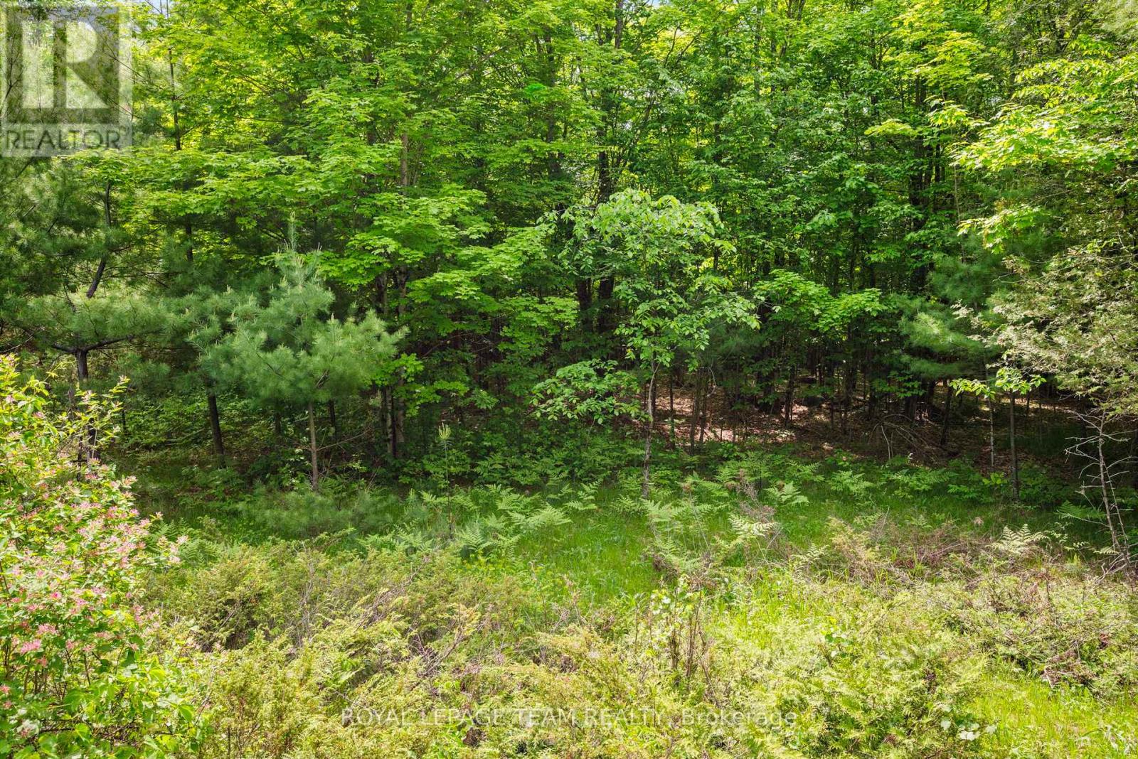 00 Maple Street, Lanark Highlands, Ontario  K0G 1M0 - Photo 4 - X12999806