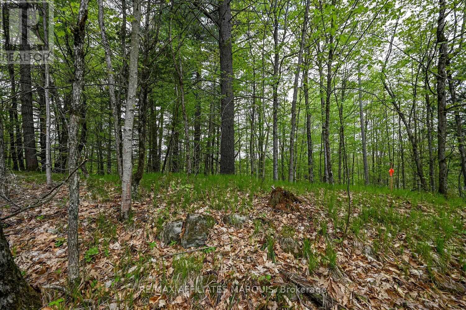 00 Clear Lake Road, Rideau Lakes, Ontario  K0G 1E0 - Photo 11 - X13001154