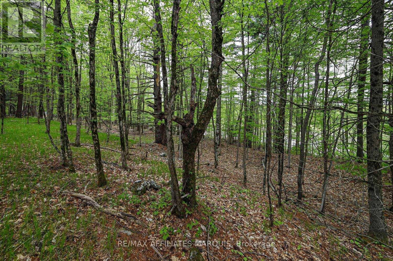 00 Clear Lake Road, Rideau Lakes, Ontario  K0G 1E0 - Photo 12 - X13001154
