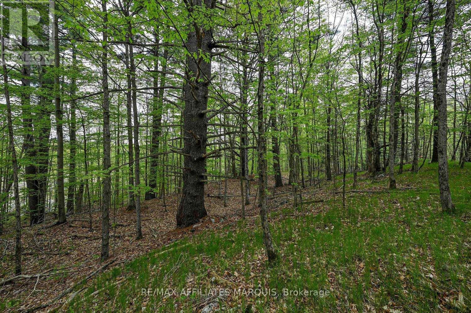 00 Clear Lake Road, Rideau Lakes, Ontario  K0G 1E0 - Photo 14 - X13001154