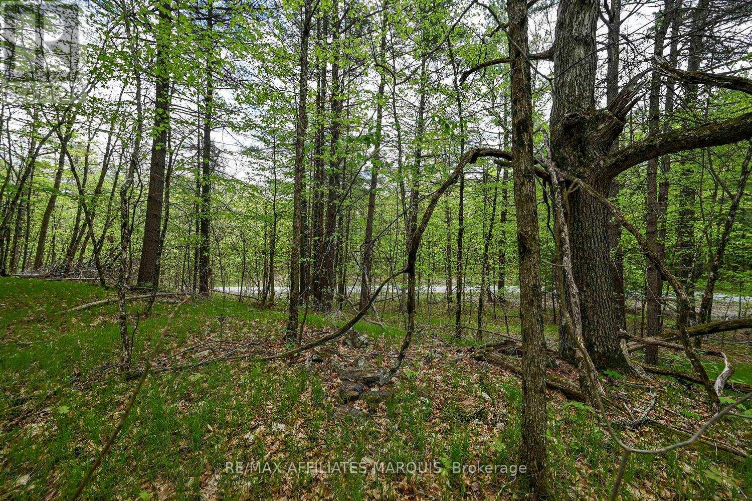 00 Clear Lake Road, Rideau Lakes, Ontario  K0G 1E0 - Photo 16 - X13001154