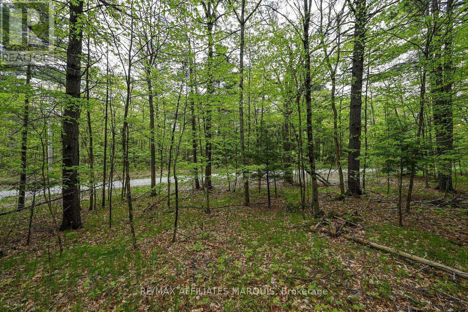 00 Clear Lake Road, Rideau Lakes, Ontario  K0G 1E0 - Photo 18 - X13001154
