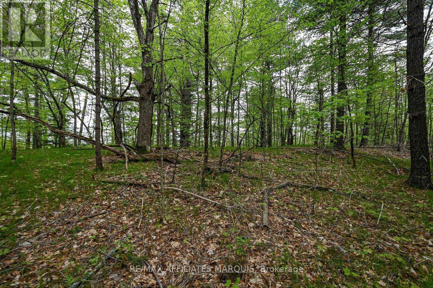 00 Clear Lake Road, Rideau Lakes, Ontario  K0G 1E0 - Photo 19 - X13001154