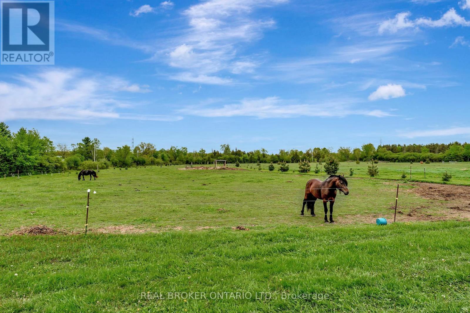 174 County 1 Road, Elizabethtown-Kitley, Ontario  K0E 1Y0 - Photo 37 - X13008100