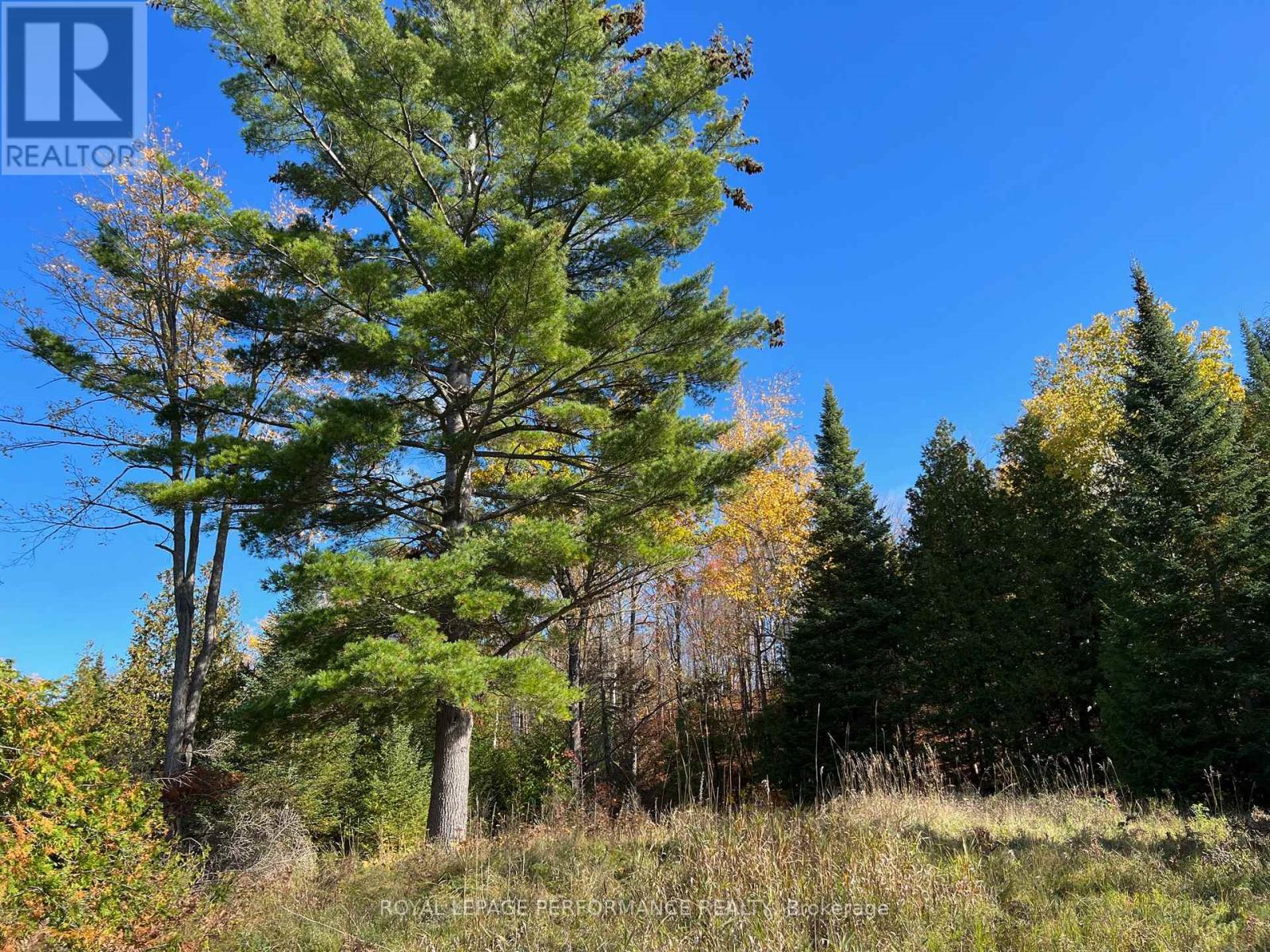 304 Lacourse Lane, Lanark Highlands, Ontario  K0A 3L0 - Photo 7 - X13015438